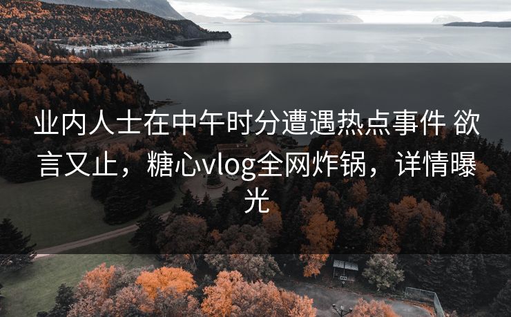 业内人士在中午时分遭遇热点事件 欲言又止，糖心vlog全网炸锅，详情曝光